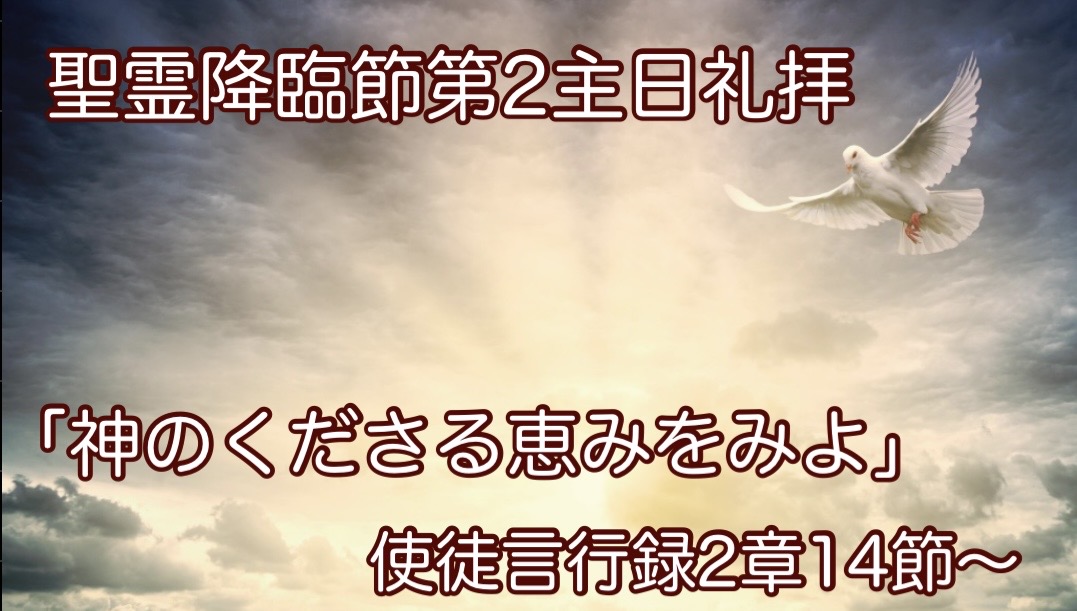 ５月31日