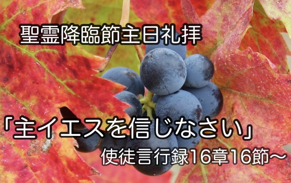 主イエスを信じる