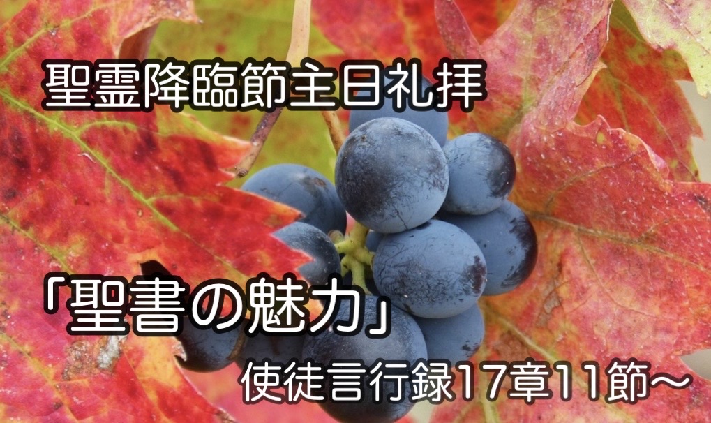 聖書の魅力