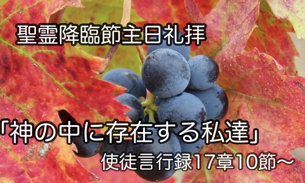 神の中に存在する私たち