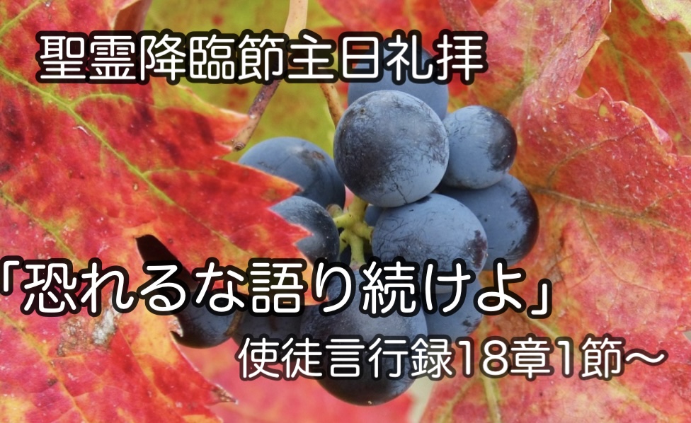 恐れるな
